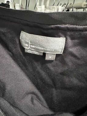 Anthropologie sheer skirt